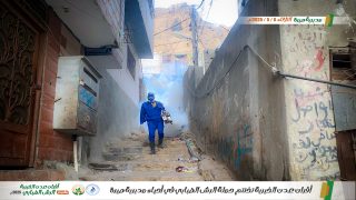 هيئة الخليج وعدن تختتم حملة الرش الضبابي لمكافحة البعوض في مديرية صيرة – عدن