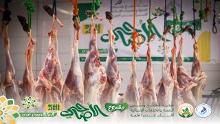 هيئة الخليج وعدن – أفران عدن الخيرية، تدشن مشروع الأضاحي السنوي لعام 1446هـ